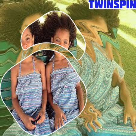 Twinspin login